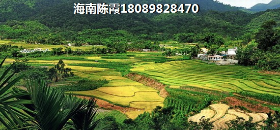 海南企业股东购房补贴